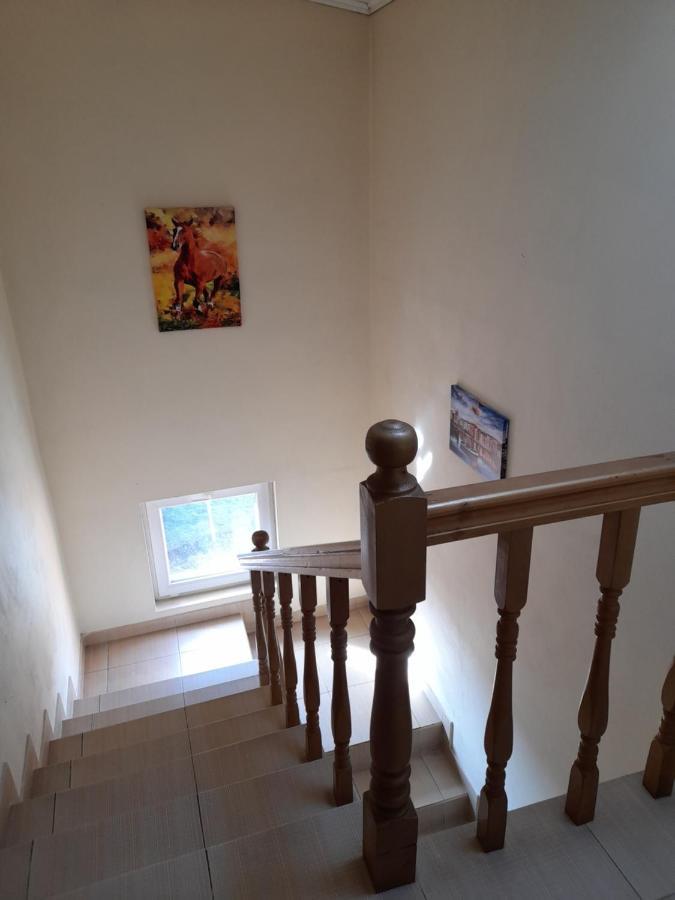 Yana Guest House Dobrinishte Luaran gambar